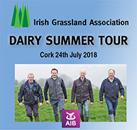 Dairy Summer Tour