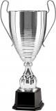 The O,Brien Silver Cup