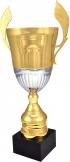 The Deeley Gold/Silver Cup