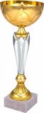 The Culann Trophy Cup